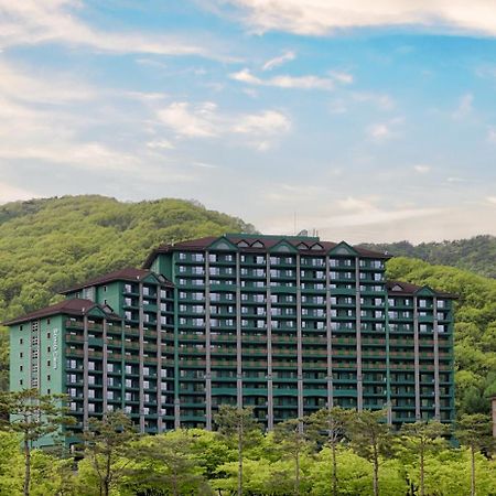 Hotel Sono Calm Vivaldipark à Hongcheon Extérieur photo